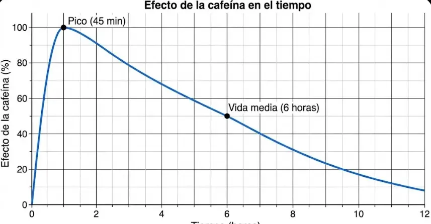 Gráfico lineal mostrando la curva de efecto de la cafeína en el tiempo: pico a los 45 min, vida media a las 6 horas