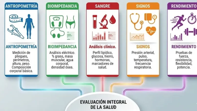 Infografía resumen de los 5 pilares de evaluación: Antropometría, Bioimpedancia, Sangre, Signos, Rendimiento